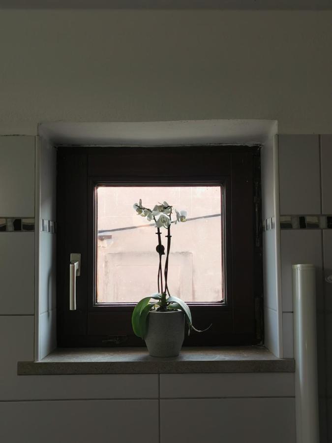 Istrian Old Town Apartment Koper Exteriör bild